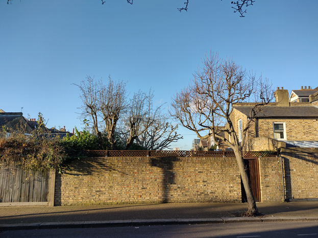 Fig. 95: Irregular street planting combine with mature back gardens