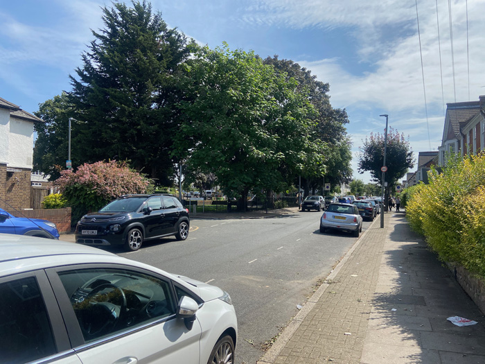 Fig. 29: The dense tree planting of Swaby Gardens