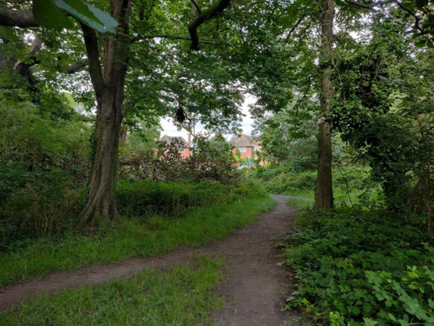 Fig. 11: A glimpsed view of the surrounding buildings from deep inside the Common