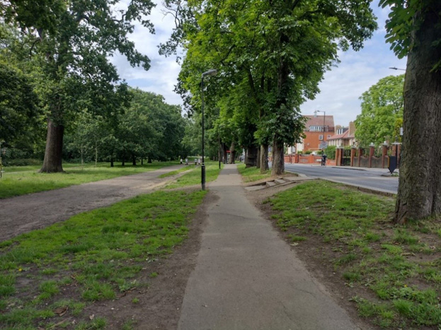 Fig. 13: The Common stepping up to meet the road, with the line of elm trees at the edge of the Common