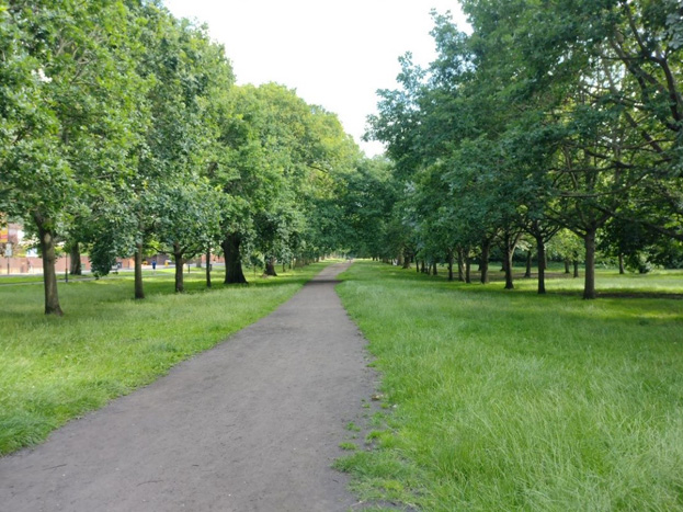 Fig. 14: The main avenue running parallel to Garrad’s Road.