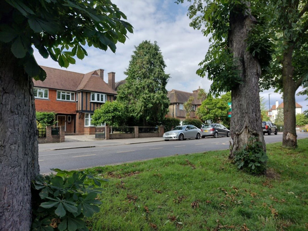 Fig. 7:  Arts and Crafts housing set in their spacious grounds, viewed from the Common