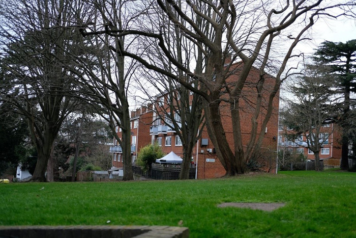 Fig. 33: Trees of Alton East