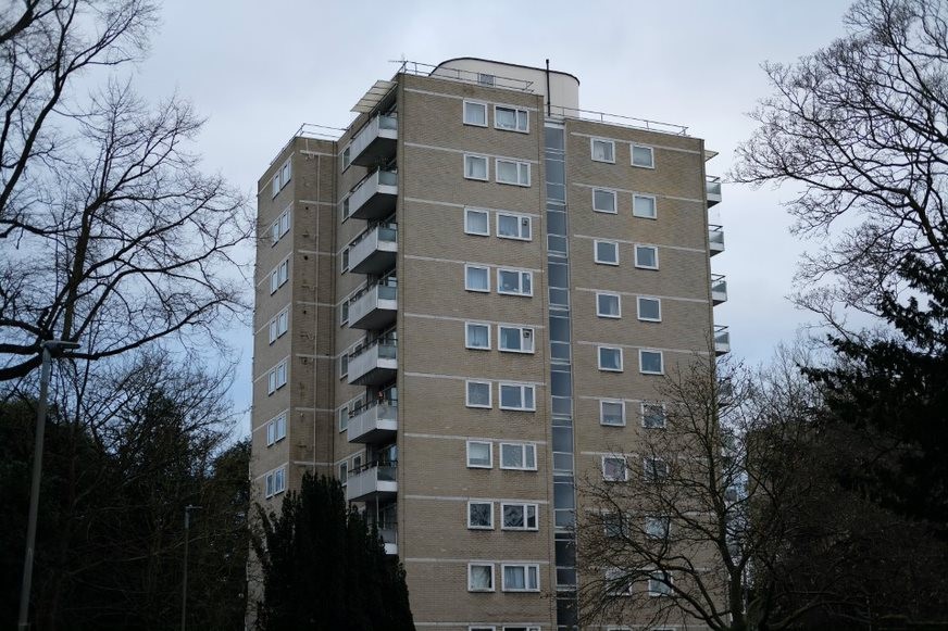 Fig. 40: Alton East point block with its projecting balconies and white brick, surrounded by trees