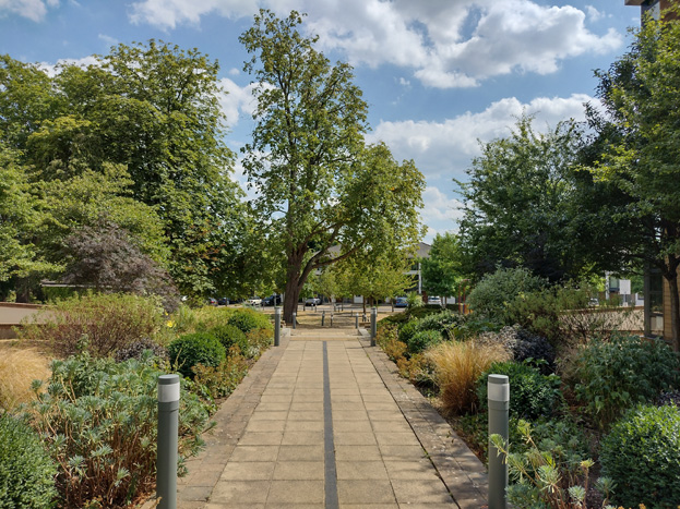 Fig. 97: North-South route leading to communal garden