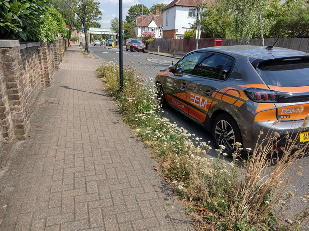 Fig. 74: Verges planted with wildflowers contribute to garden character, biodiversity, and are low maintenance and drought resistant