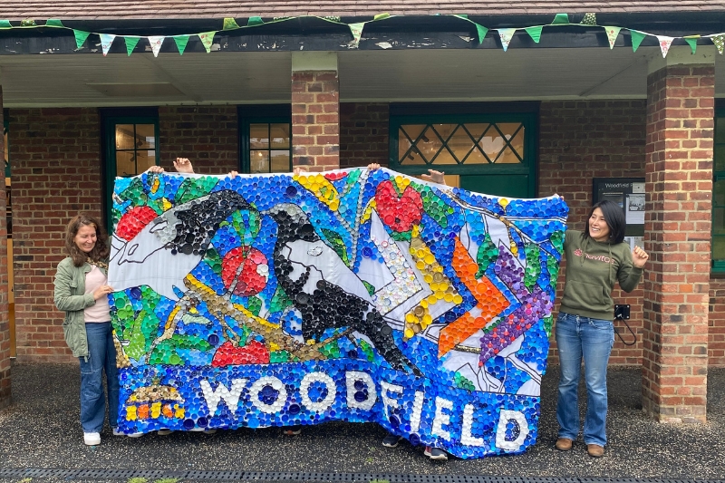 A colourful collage features two blackbirds