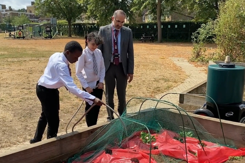 School pupils water strawberry plants at their garden at Ark Putney Academy